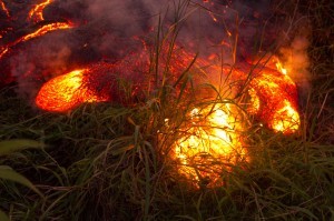 Biochar in a State of Emergency