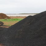 Biochar Waste Management