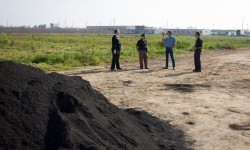 biochar pile at the farm in Manteca