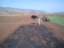 Biochar Field Trial on Oahu