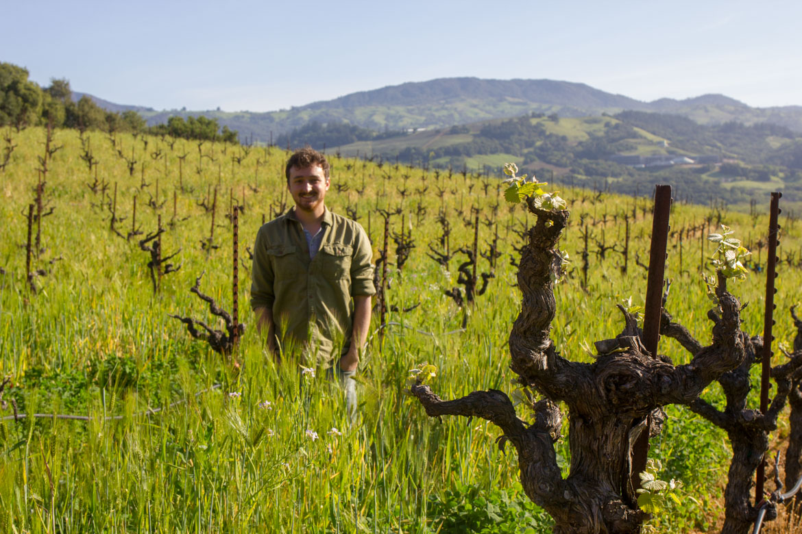Biochar: The Vineyard's Next Big Thing