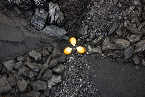 Definition of Biochar