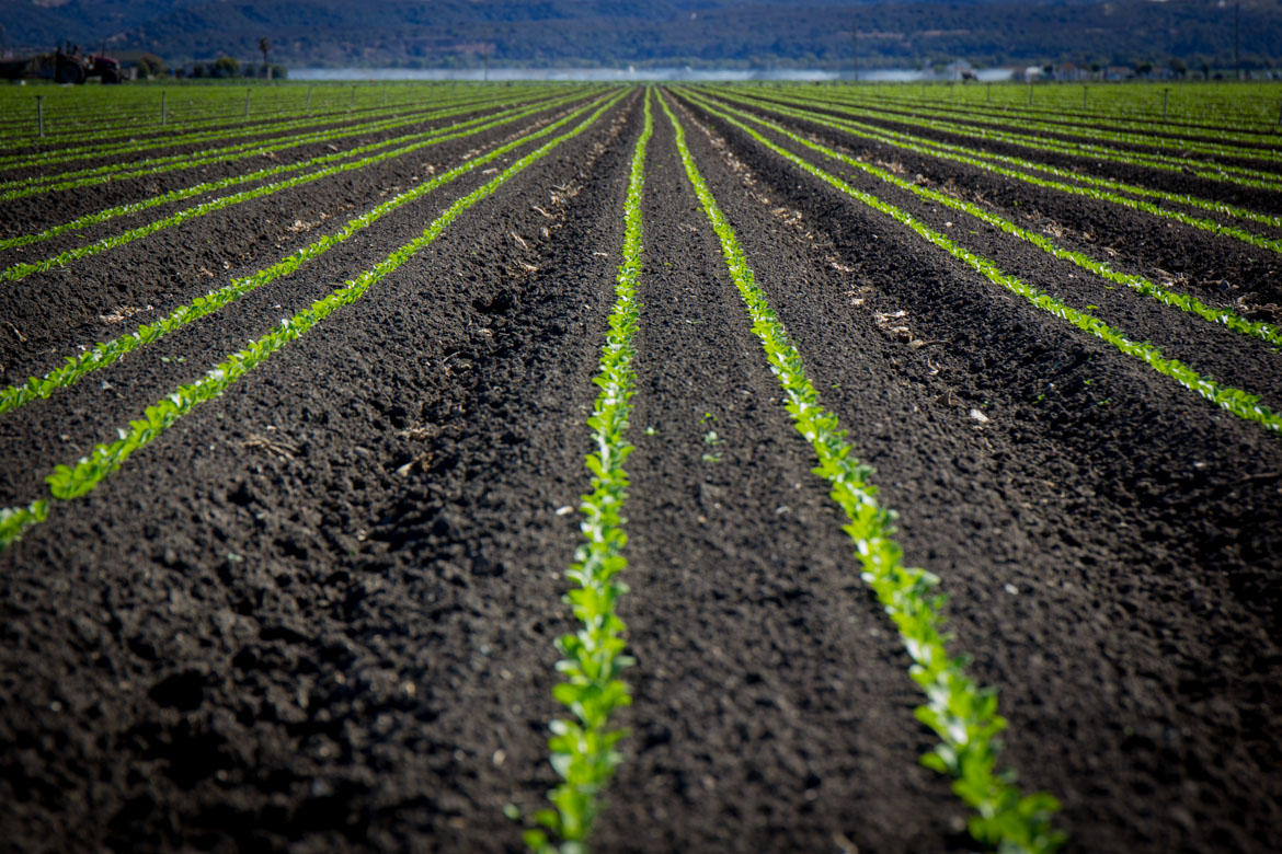 Intergenerational Value of Farmland Applied Biochar
