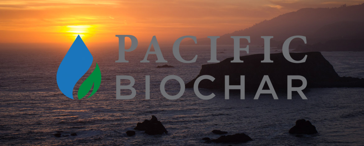 Newsletter — Fall 2020