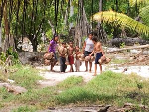 Carrying coconuts for copra