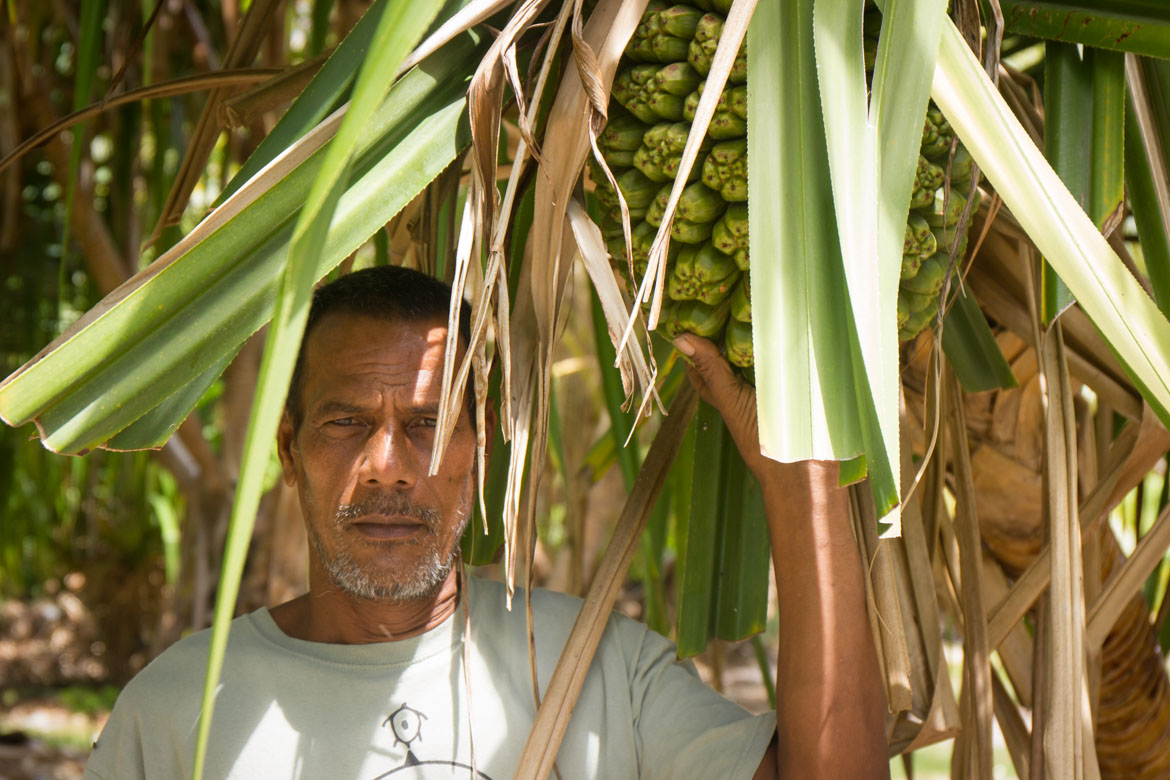 Areieta with edible pandanus