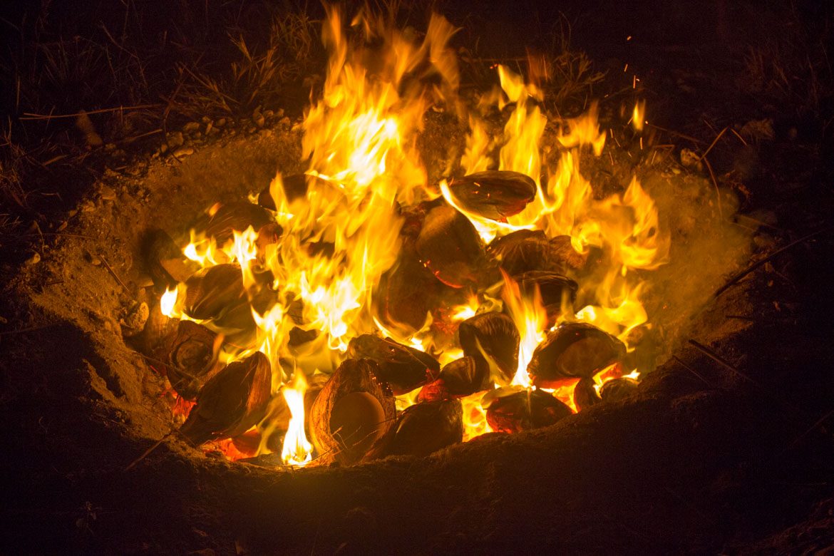 How to make biochar from coconut husk