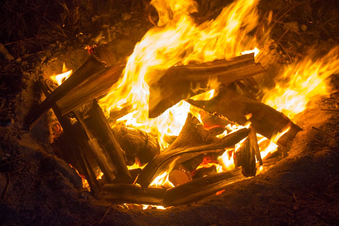 how to make biochar from coconut frond