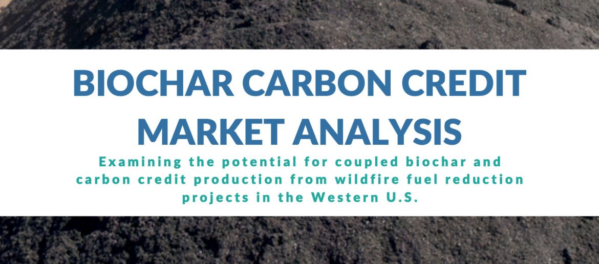 Biochar Carbon Credit Market Analysis