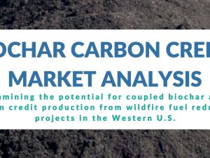 Biochar Carbon Credit Market Analysis, Western US