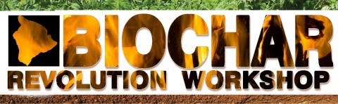 Biochar Revolution Workshop _ Logo