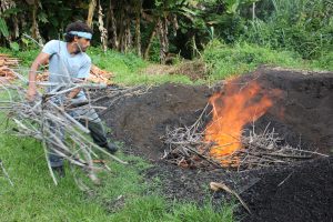 Feeding wood into an open pit biochar fire