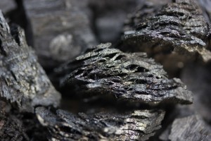 Pyrogenic organic matter, aka biochar