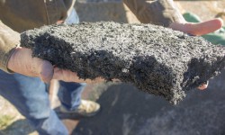 cultured biochar at Pacific Biochar's processing facility in Willows, CA