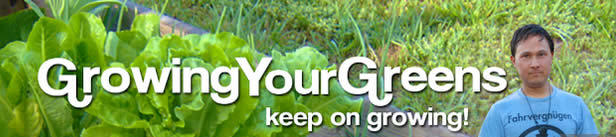 Growing Your Own Greens
