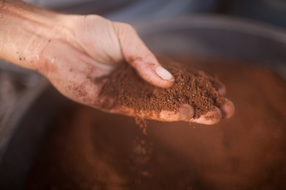 biochar fertilizer