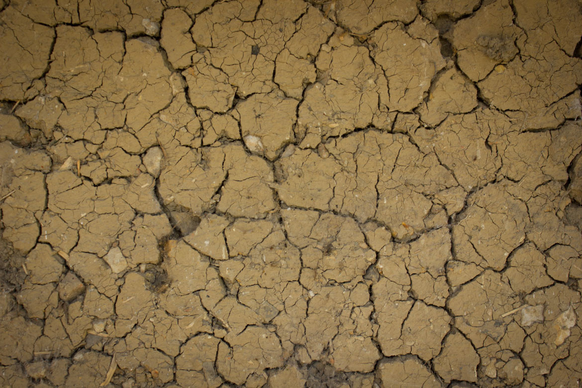 Pacific Biochar adobe