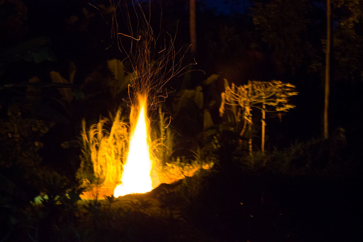 Hurricane Issele windfall biochar fire